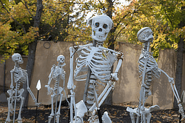 Local Halloween Happenings