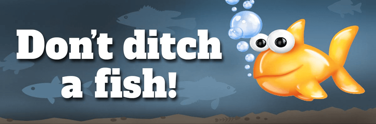 Don’t Be A ‘Bucket Biologist’ – Illegal Stocking/Dumping Of Fish A Big Deal