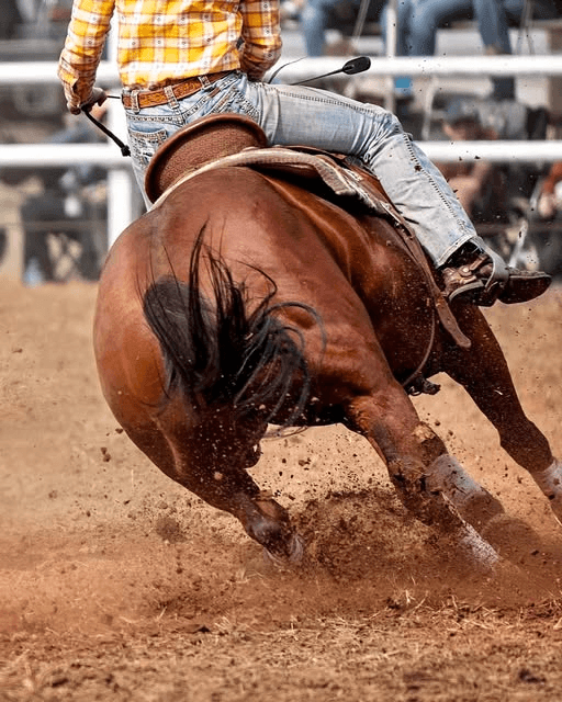 Equine Events Postponed As EHV-1 Outbreak Monitored