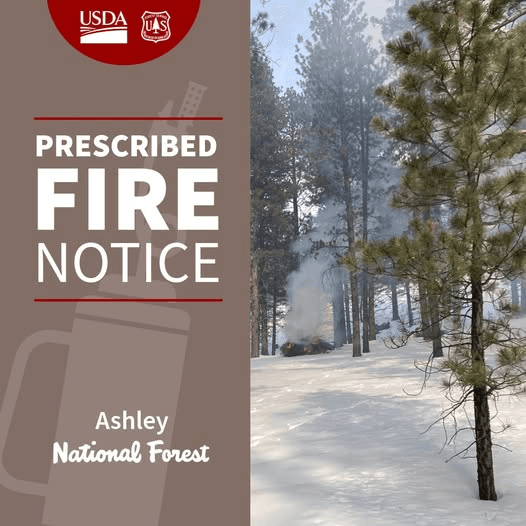 Ashley National Forest Announces Plans For Prescribed Burns