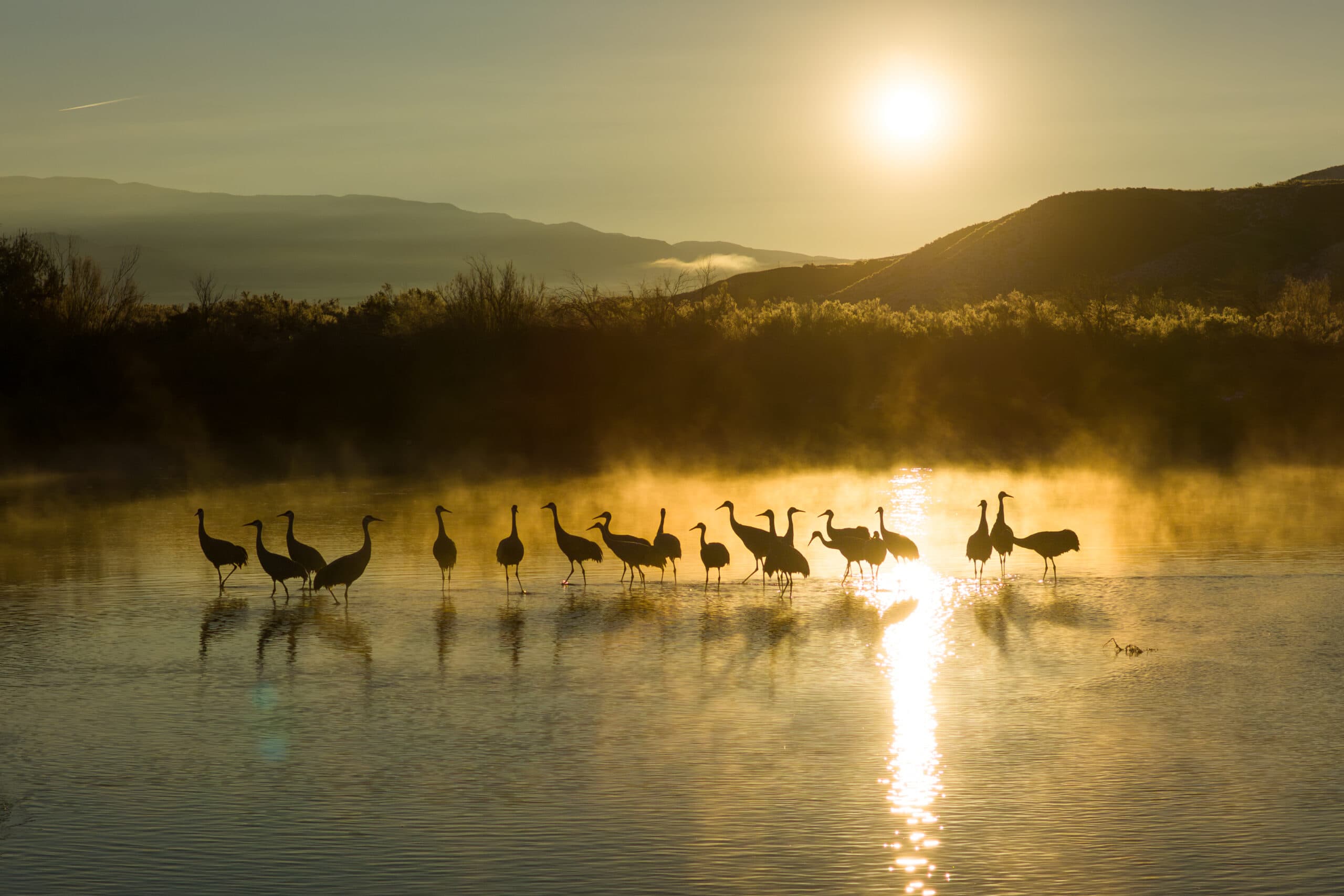 Winning Uintah County Photo Featured In 2026 “My Utah” Calendar