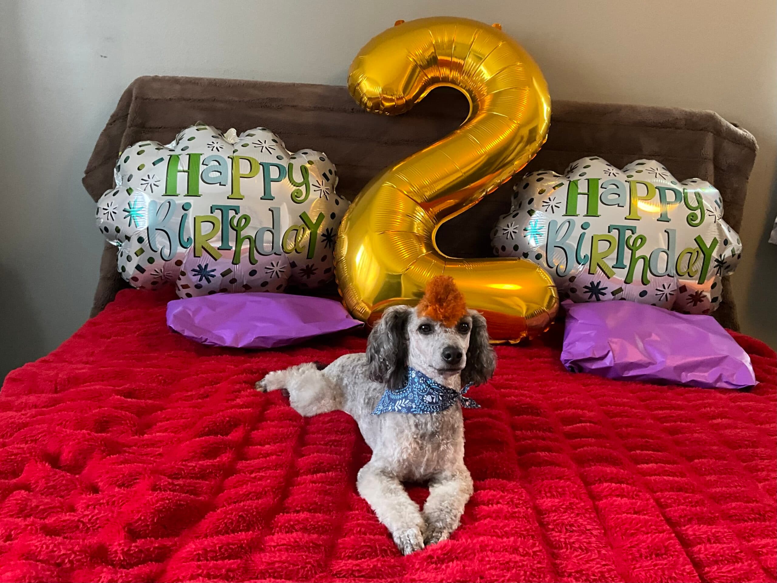 ‘Dennis the Menace’ Enjoying Recent Fame; Predicts Fantastic 2026