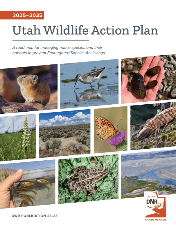 Fish And Wildlife Approves Plan To Prevent Endangered Species Listings