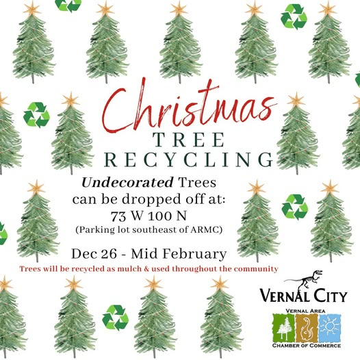 Christmas Cleanup