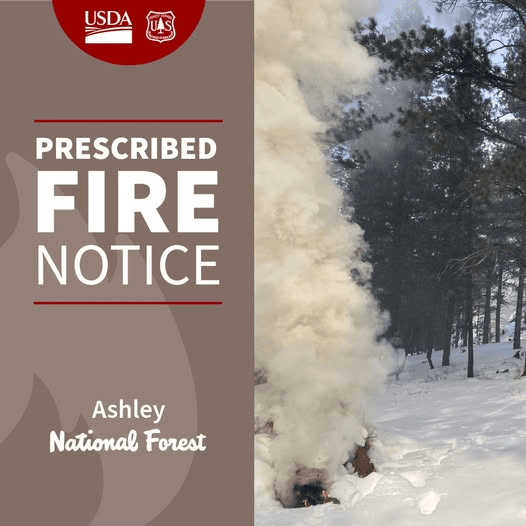 Prescribed Burn Starting Today In Ashley National Forest