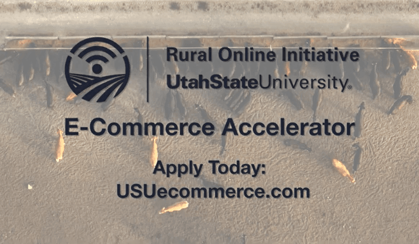USU ECA Program Helping Rural Small Businesses