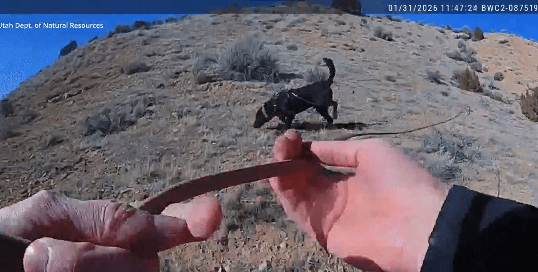 Local K9 Finds Woman In Search And Rescue Operation Near Vernal
