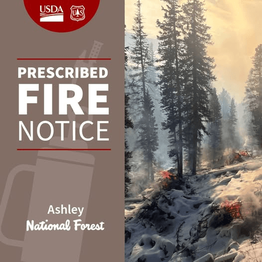 Planned Burns In Dry Fork Canyon And Brownie Canyon