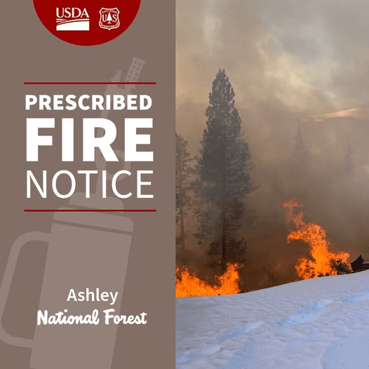 Pile Burning This Week Part Of Red Cloud Loop Fuels Reduction Project