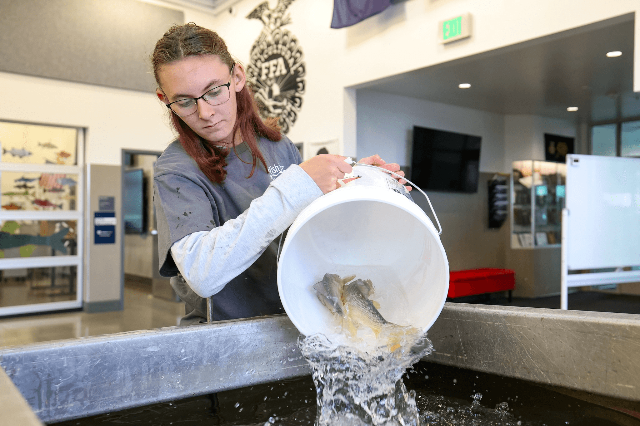 Uintah Class Helps Release Endangered Razorbacks Into Green River