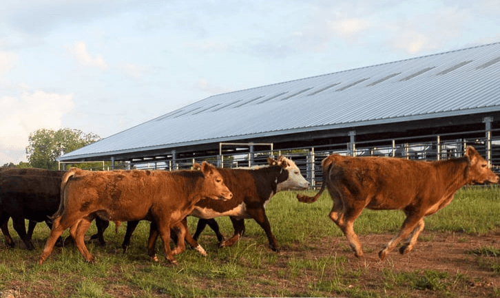 Agricultural Land Easements Available Through Natural Resources Conservation Service