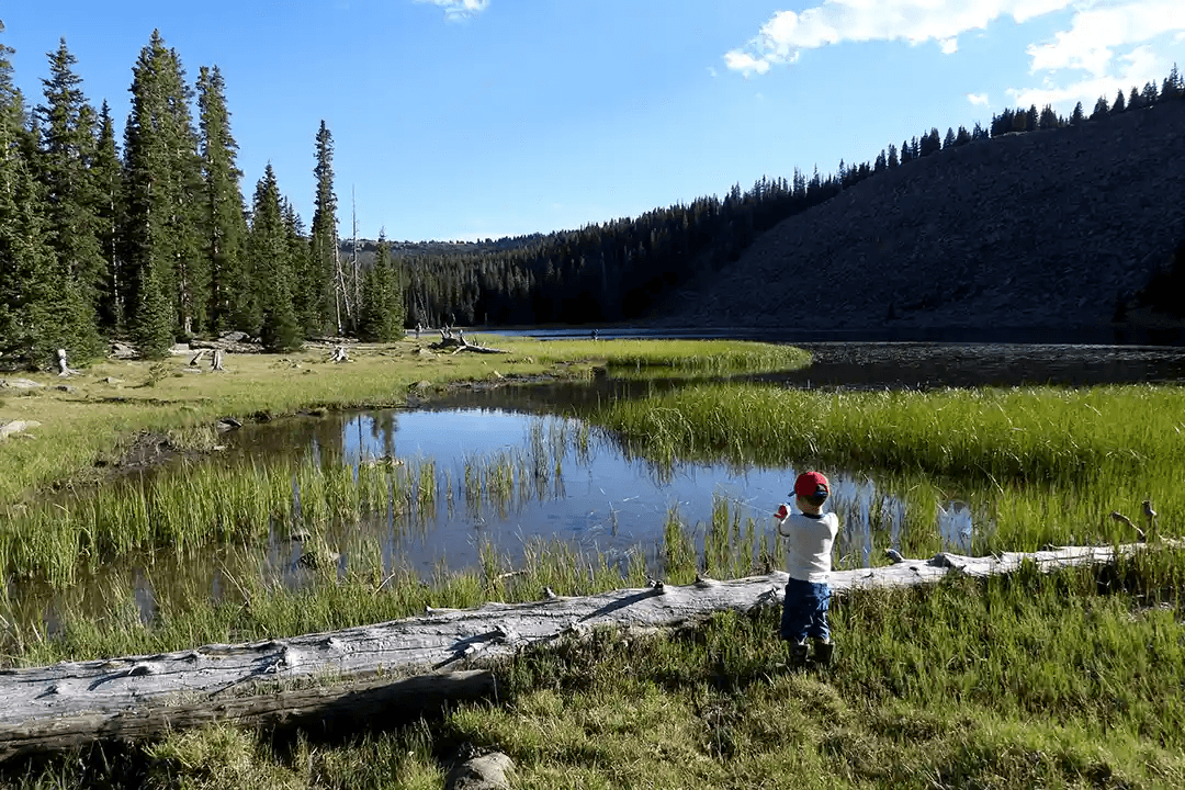 Fishing During A Drought Year