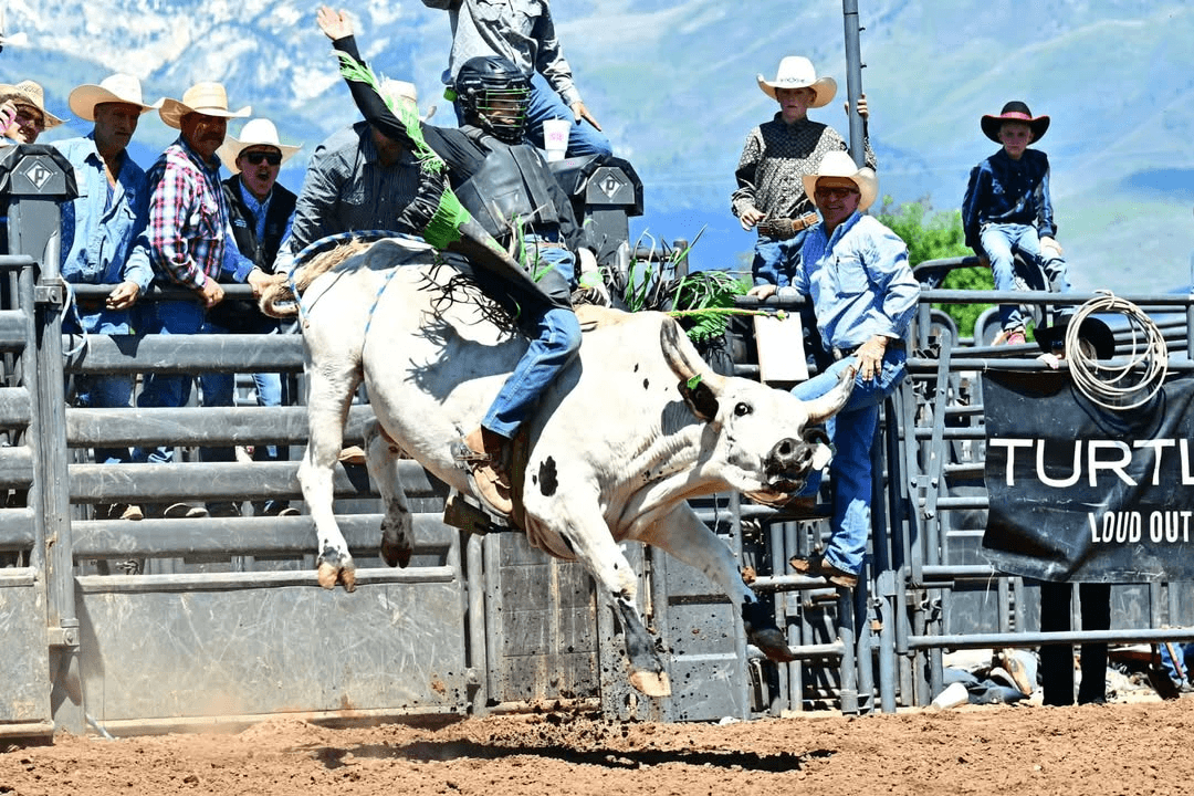Vernal Young Man Earns Title Of Jr. High Bull Riding Champion
