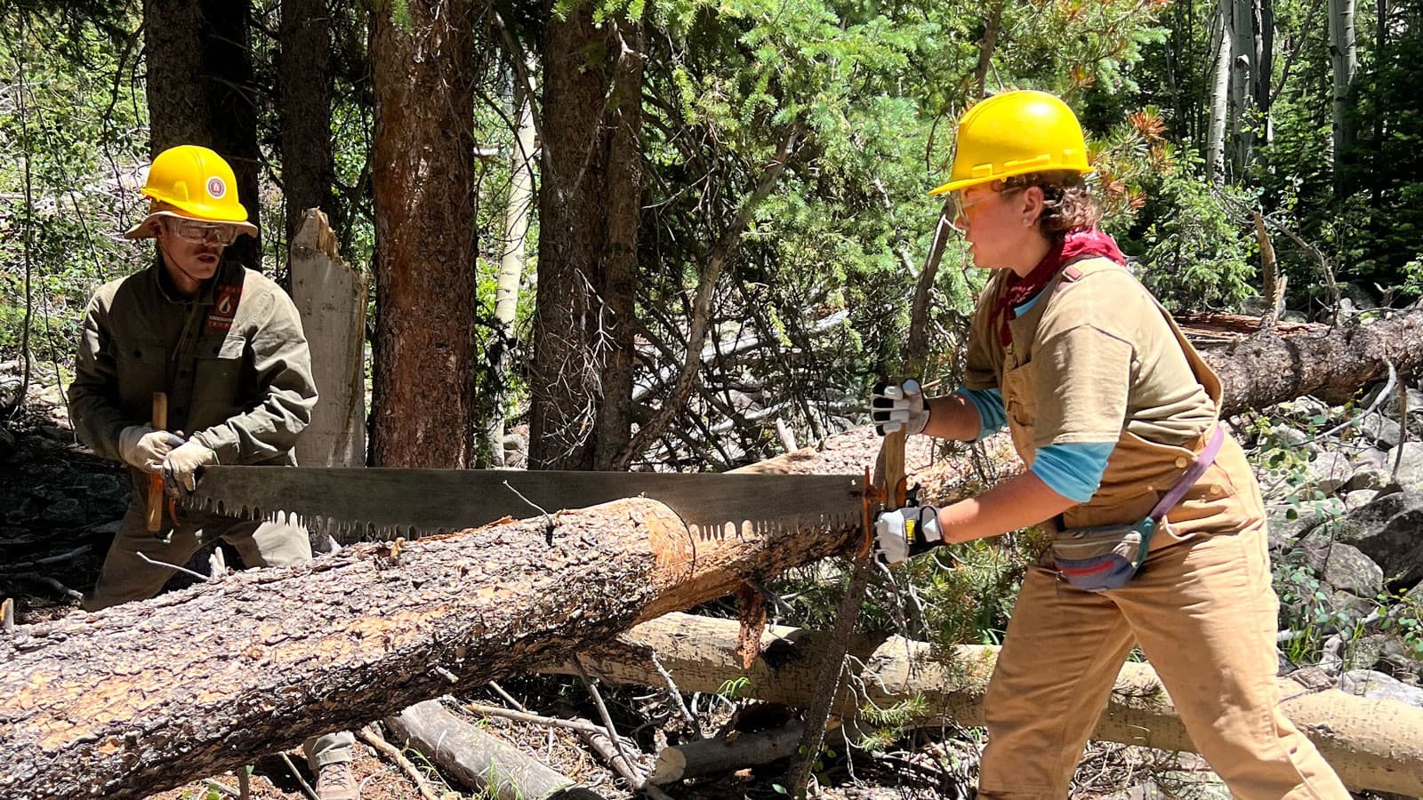 Utah Conservation Corps Secures Funding For High Uintas Trail Maintenance