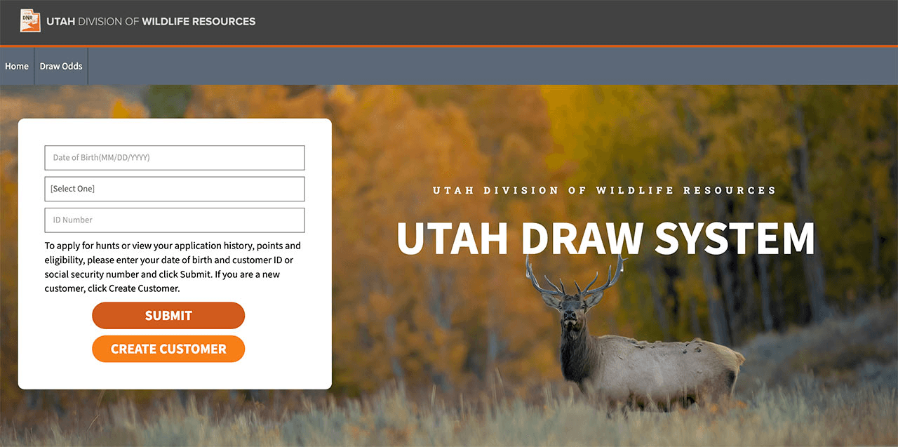 Applications Open Tomorrow To Hunt Cranes, Grouse, Swans