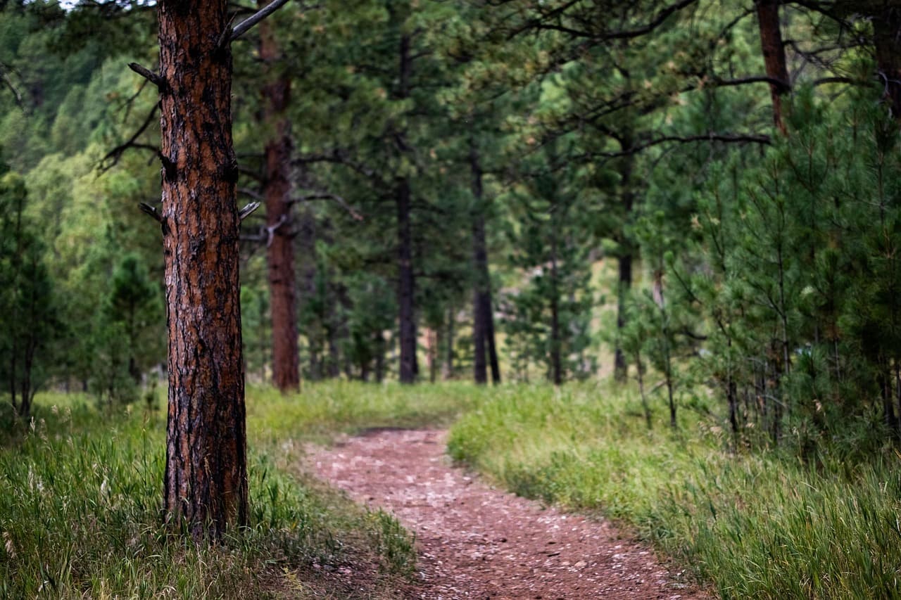 Celebrate National Trails Day