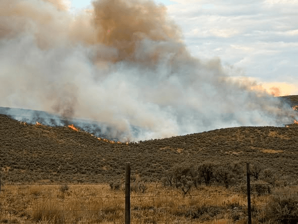 Big Gulch Wildfire Burning In Moffat County