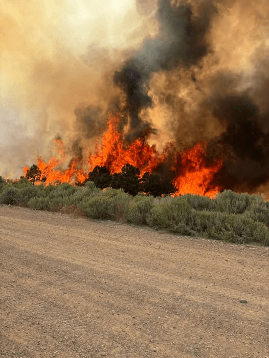 PL Gulch Fire Southwest Of Meeker