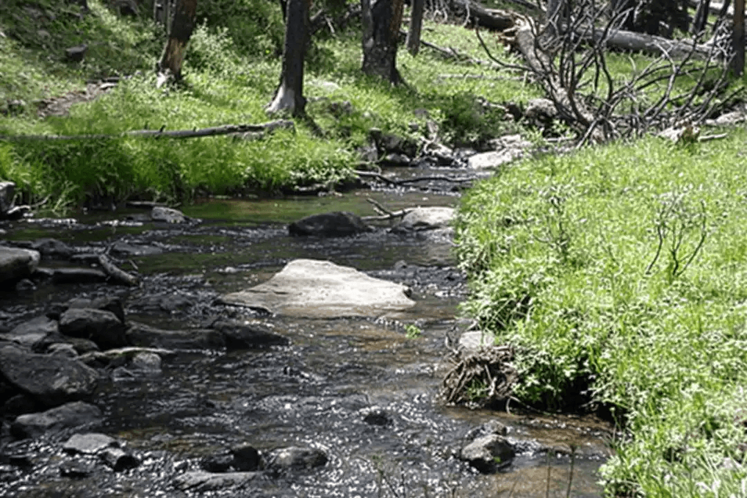 Treatments Scheduled In High Uintas To Restore Native Cutthroat Trout
