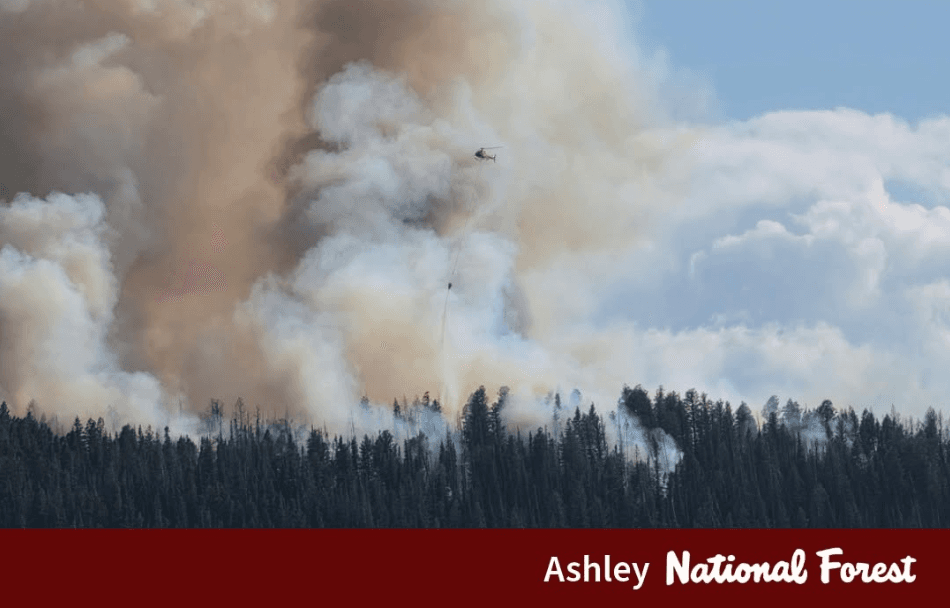 Grizzly Ridge Fire Update