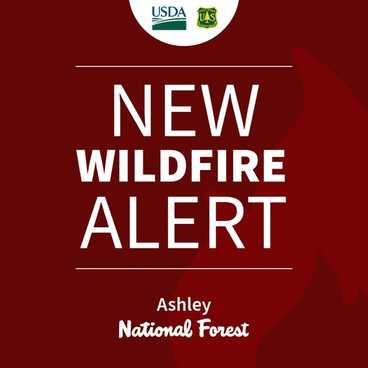 Grizzly Ridge Fire Burning In Ashley National Forest