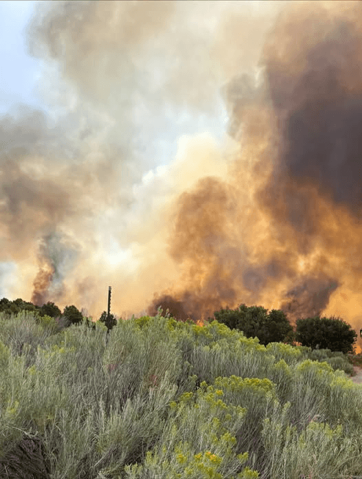 Rio Blanco Evacuations Ordered As PL Gulch Fire Spreads Due To Winds