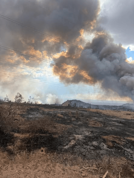 Update On Wildfires In The Region