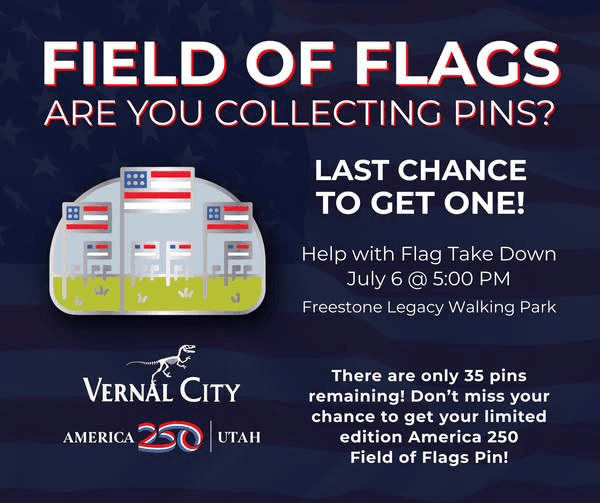Wrap Up America 250 Celebration By Volunteering With Field Of Flags Take Down