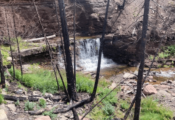 Closure In Place As Native Cutthroat Trout Restoration Project Get Underway