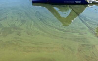 Harmful Algal Bloom Suspected at Starvation Reservoir; Caution Urged