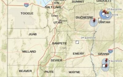 New VSV Case in Duchesne County, Several Uintah County Cases Off Quarantine
