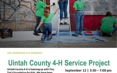 Uintah County 4-H Service Project Open to the Community