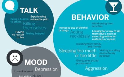 Vernal PD Asks Residents to be Aware of Suicide Warning Signs