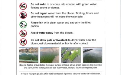 Flaming Gorge Fire Hole Canyon Swim Beach Under Advisory for HAB