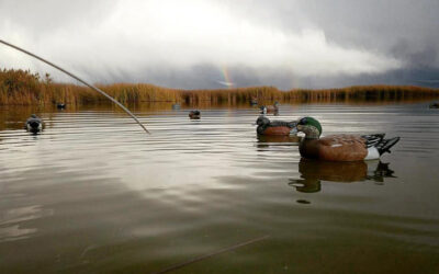 DWR Gives Some Waterfowl Hunting Tips