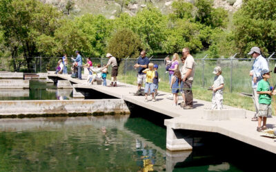 Free Kids Fishing Day at Jones Hole National Fish Hatchery