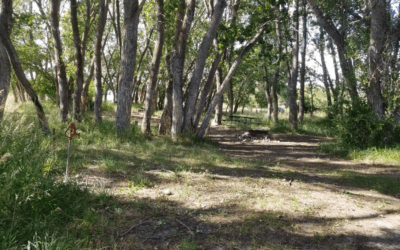 Bacon Park Back Up and Running After Major Upgrades