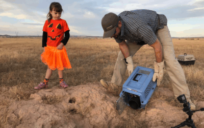Endangered Black-Footed Ferrets Released in Uintah County