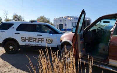 Mental Health Crisis Believed to be Behind Reckless Driving Incident