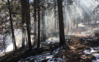 Skull Creek Fire Burning on Flaming Gorge Ranger District