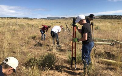 Vandalism at Doc’s Beach Remedied by Eagle Scouts, BLM, and Rancher