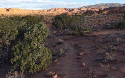 Prioritized Projects Moving Forward from Uintah County Trails Master Plan