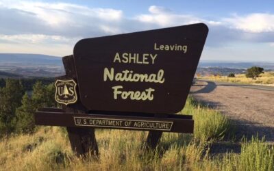 Ashley National Forest Proposes Projects for Flaming Gorge-Vernal Ranger District