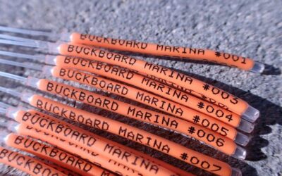 Flaming Gorge Fishery Asks Anglers to Keep More Lake Trout