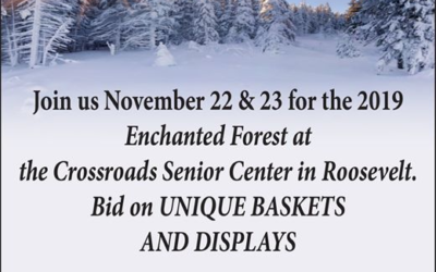Duchesne County Enchanted Forest Tradition Happening This Weekend