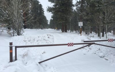 Ashley National Forest Update on Road Closures