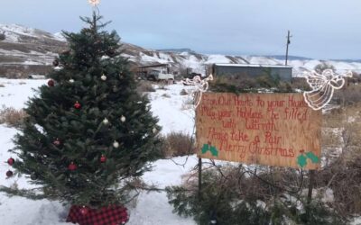 Carol’s Glove Tree Spreading Christmas Spirit Again This Year
