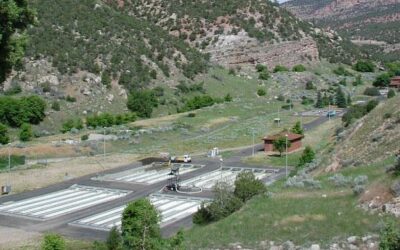 Hatcheries Key to DWR Fish Stocking Efforts Each Year