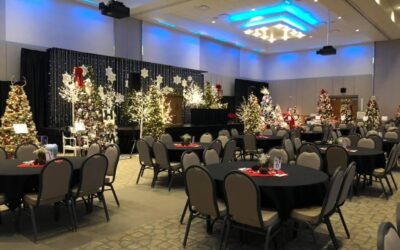 Final Numbers In And Trees For Charity Breaks Previous Record