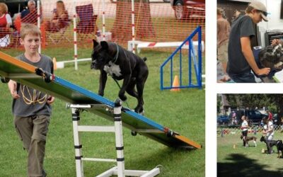 Utah 4-H Starting a State-Wide  Dog Club